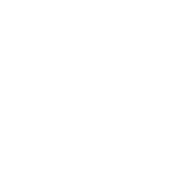 Icon weiß Einkaufswagen