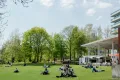 Studierende sitzen und liegen auf einer Wiese.