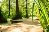 Botanischer Garten der RUB