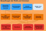 Eine Infografik über die Verzweigungen der Beauftragten und Gremien an der RUB 