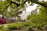 Foto: Botanischer Garten
