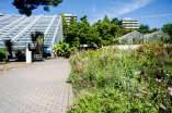 Photo: Greenhouses and a meadow in the Botanic Garden of Ruhr University Bochum