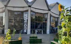 Blühende Sitzbänke vor dem Audimax