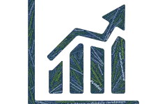 Grafik: Zeichnung eines Graphen mit dekorativ integrierten Wort-Elementen aus dem Bereich der Hochschulwirtschaftsführung. 