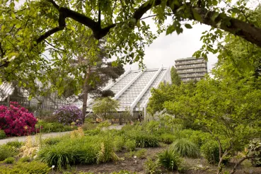 Foto: Botanischer Garten