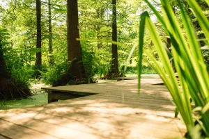 Botanischer Garten der RUB