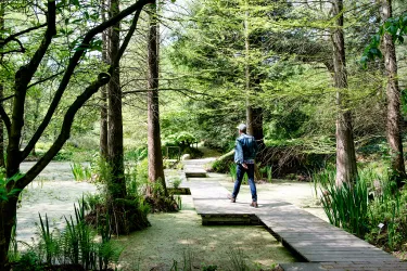 Botanischer Garten 