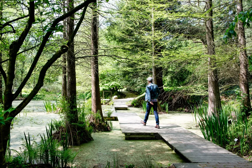 Botanischer Garten 