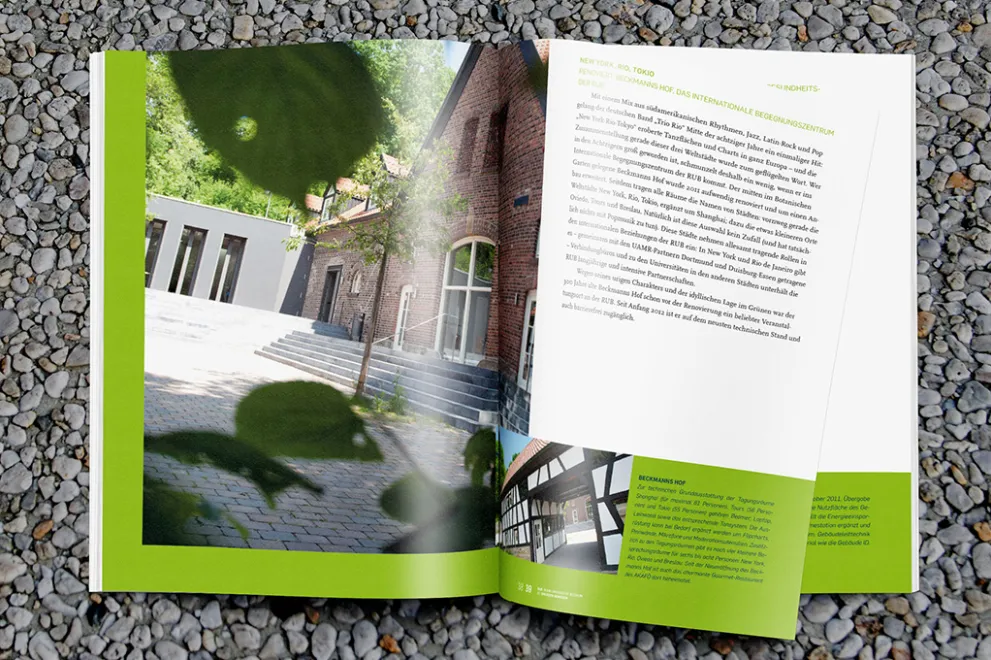 Publikationen Arbeitsprobe 4