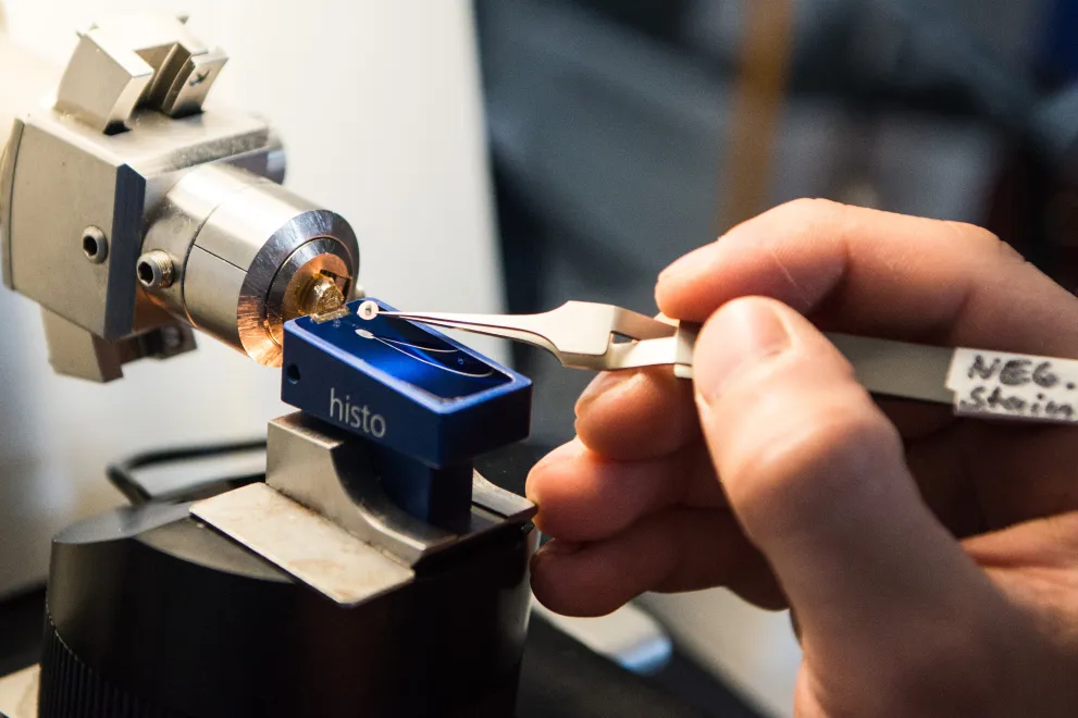 Detailfotografie Arbeitsproben Mikroskop