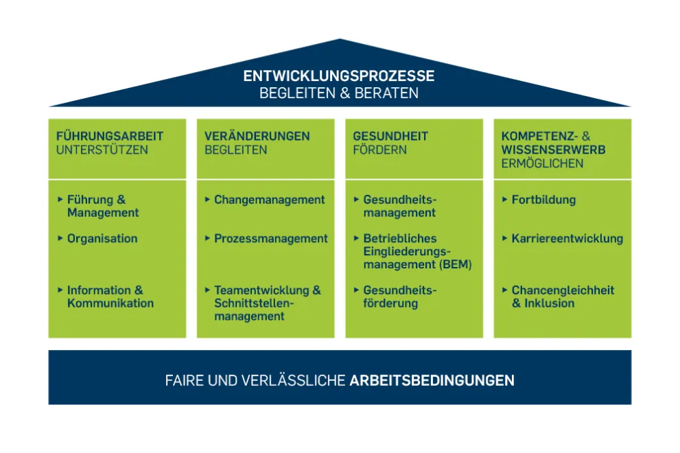 Handlungsfelder des Dezernats für Organisations- und Personalentwicklung