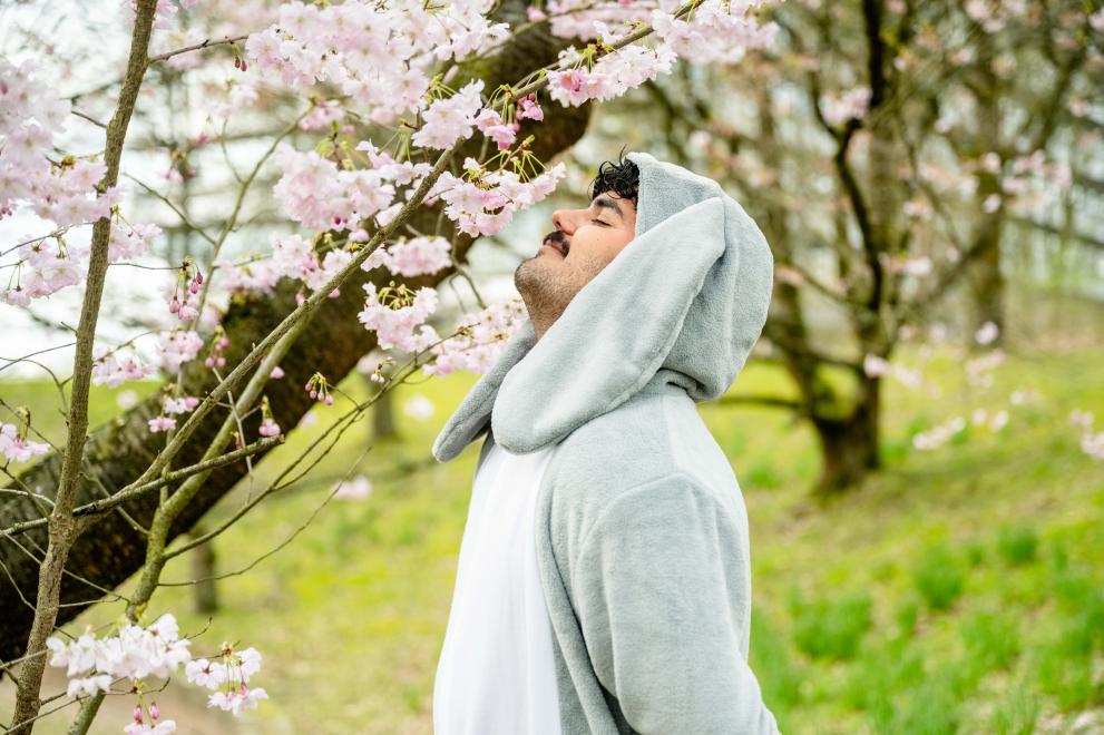 Junger Mann als Osterhase verkleidet schnuppert an Frühlingsblüten.