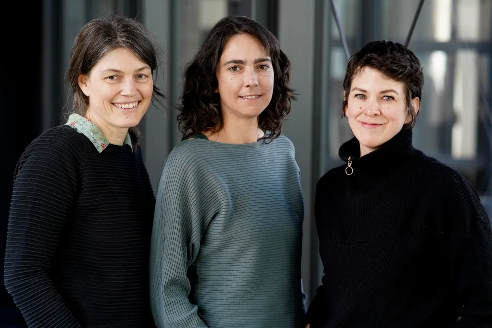 Das Foto zeigt das Projektteam Prozesse, Regelwerke, Organisation